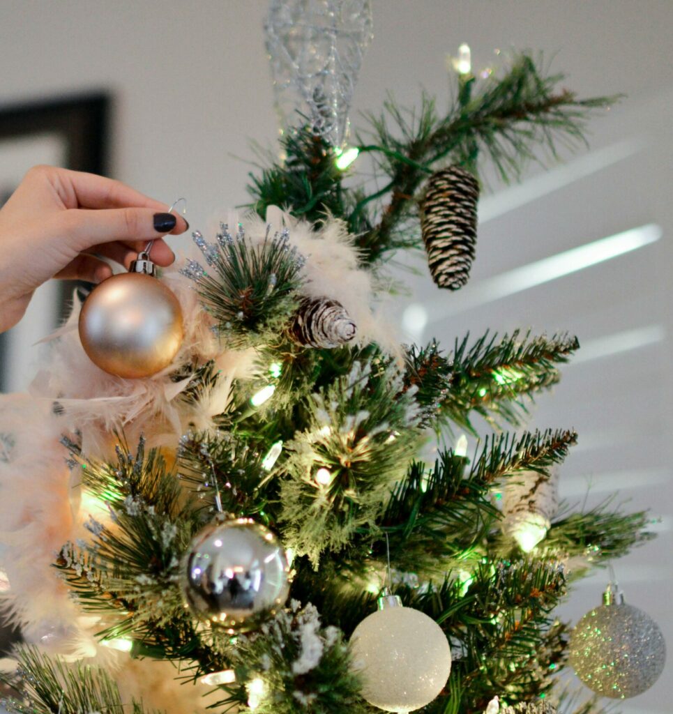 Koop een lokale en solidaire kerstboom