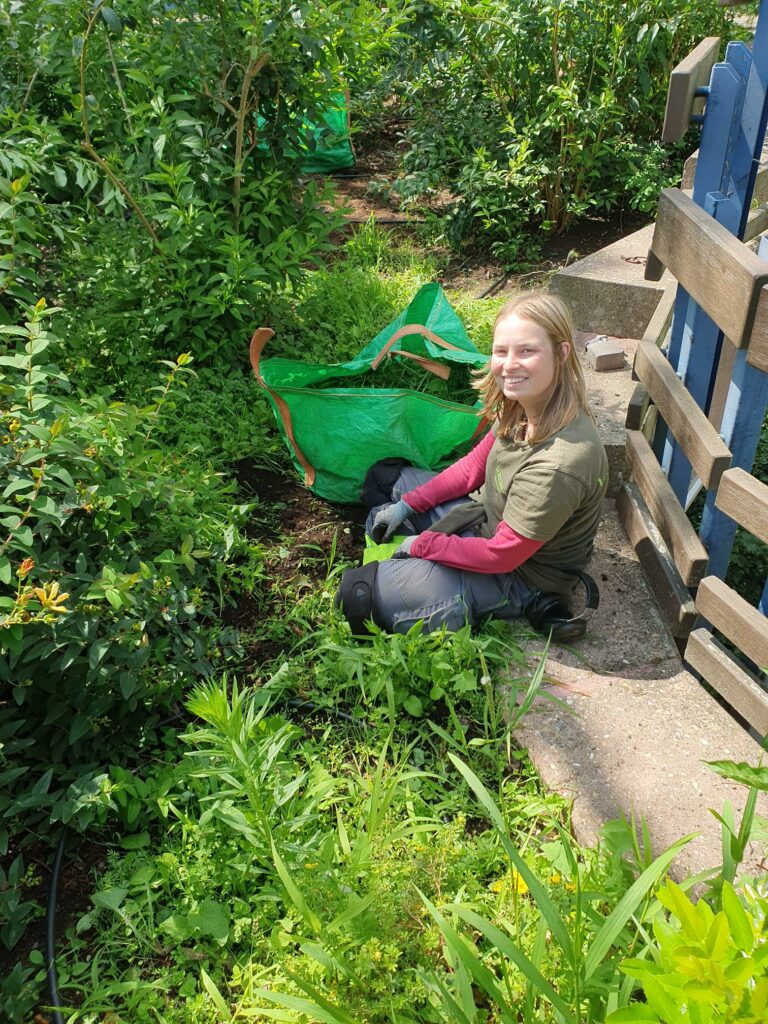 Entretien jardin - La Serre Outil