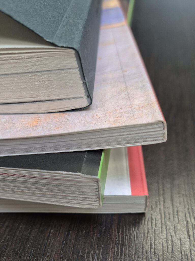 Brochage Renaître - Boek met rechte rug