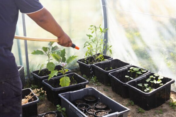 APRE potager APRE potager