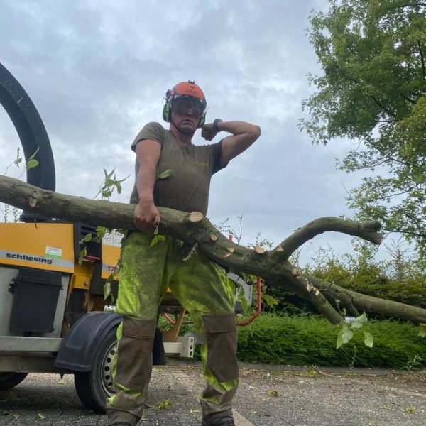 Eric Depiesse - Abattage et élagage - La Serre Outil