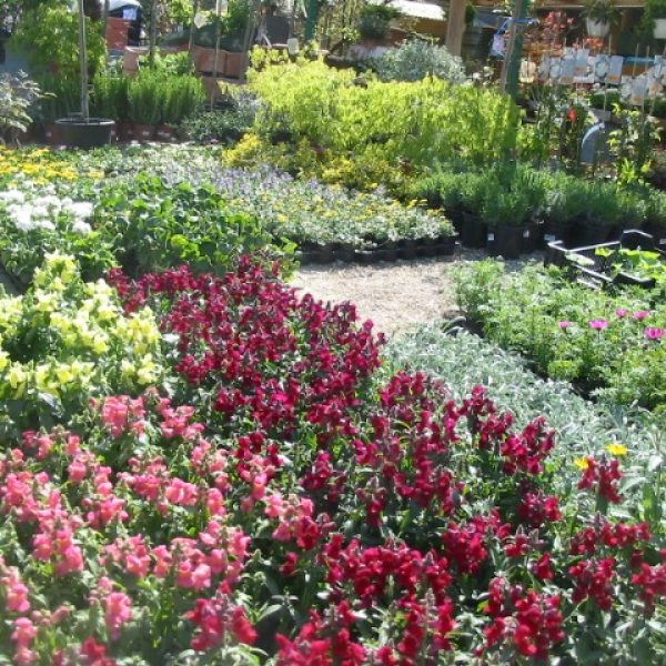 Jardinerie - La Serre Outil