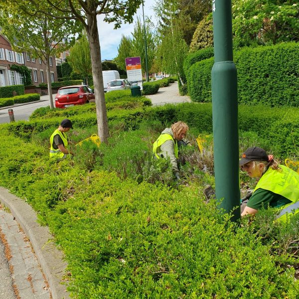 Entretien des espaces verts - La Serre Outil
