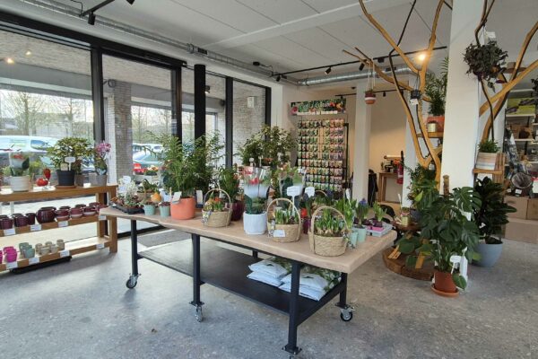 jardinerie-serre outil1