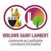 logo woluwe saint lambert
