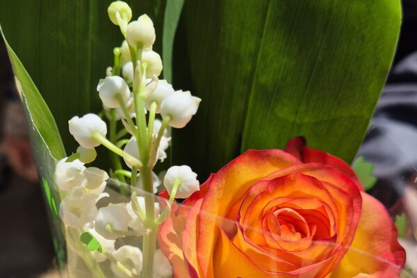 muguet 2026