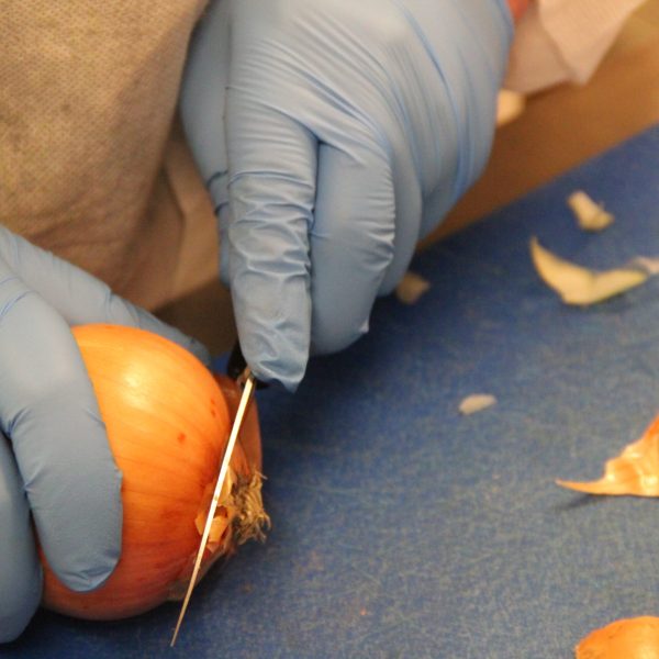 Préparation recette - Transformation alimentaire - Travie