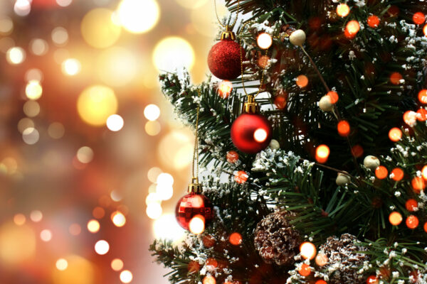 sapin noêl vente ETA bruxelloises sapin noêl vente ETA bruxelles