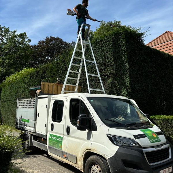 Taille des haies - La Serre Outil