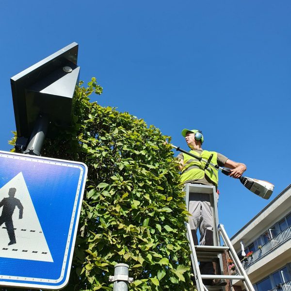 Taille des haies - La Serre Outil