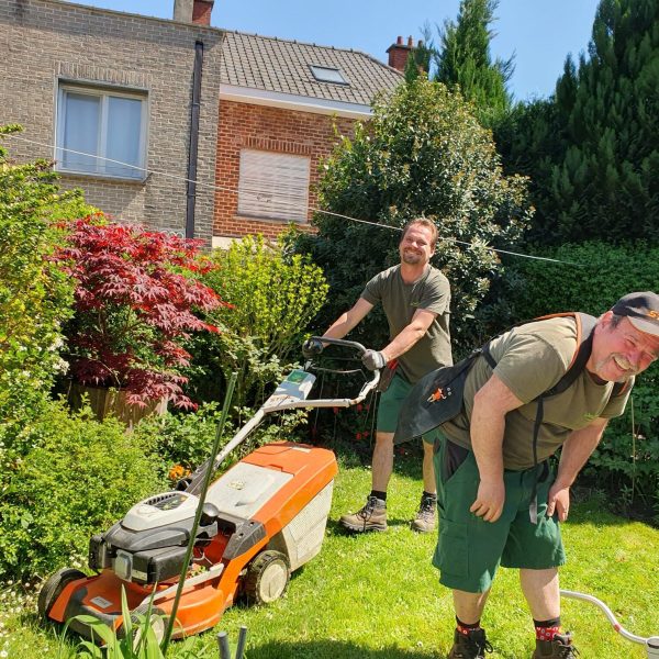 Tonte jardin - La Serre Outil