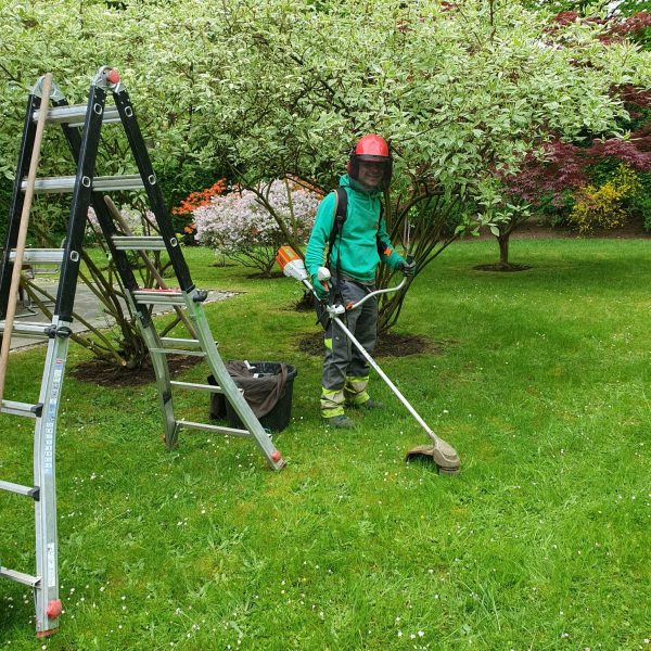 Tonte jardin - La Serre Outil